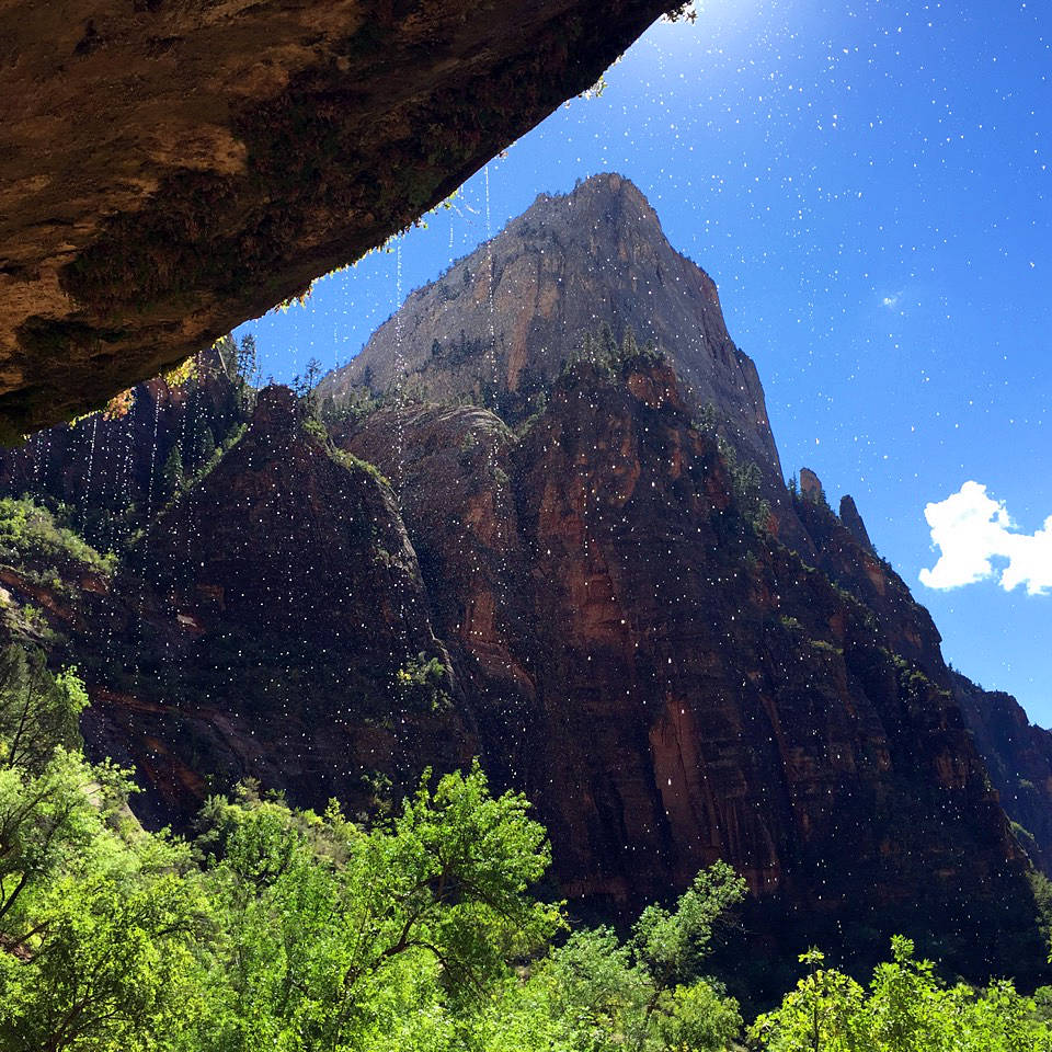 Zion National Park